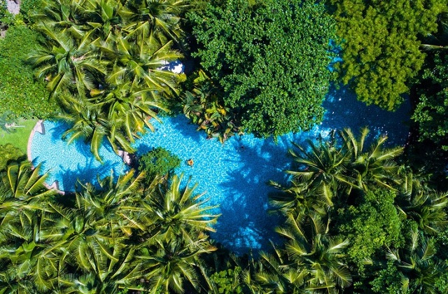 Ấn tượng trảng rừng nhiệt đới trong resort Đà Nẵng