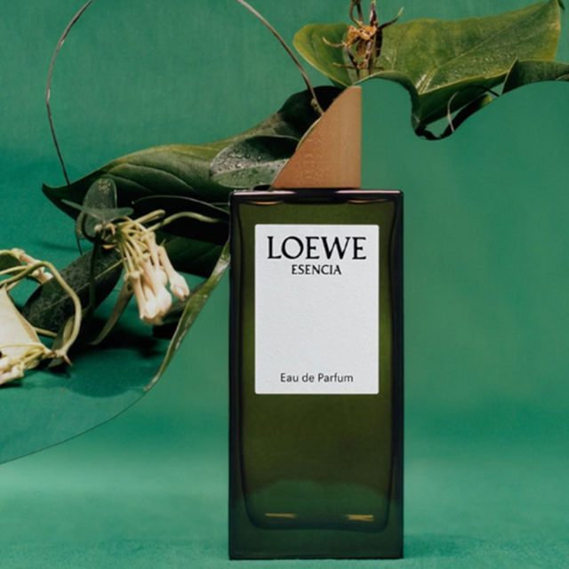 LOEWE-001-1-95