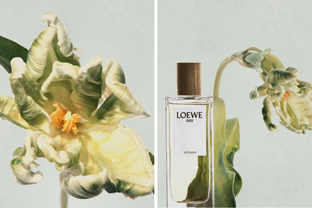 Loewe-001-Edp-3