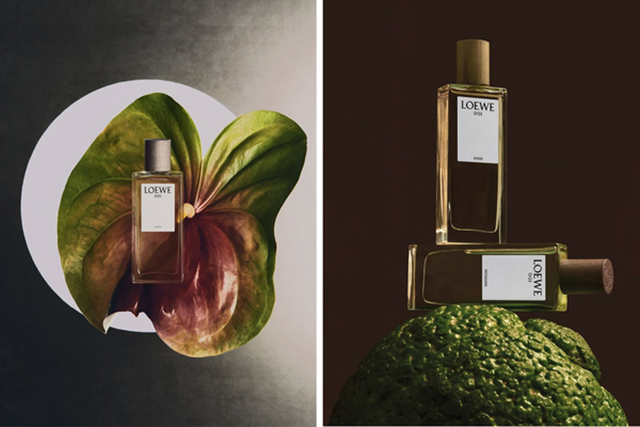 Loewe-001-Edp-4
