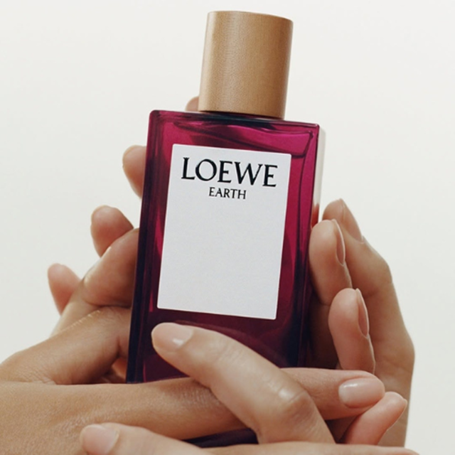 LOEWE-15-8-4