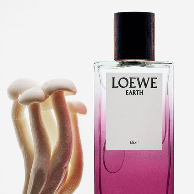 LOEWE-15-8-5